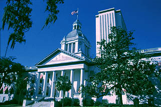 Tallahassee is the state capital