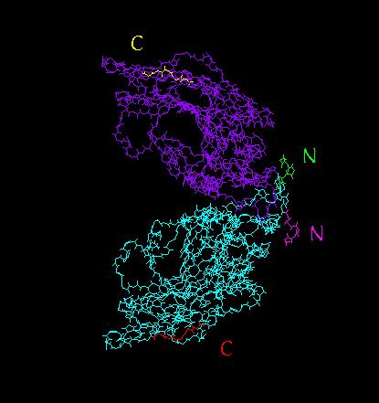 molecule