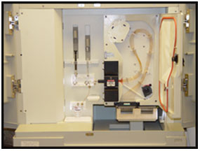Sequencing Facility ABI 3100 DNA Sequencer