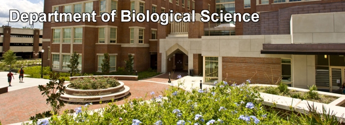 Department of Biological Science