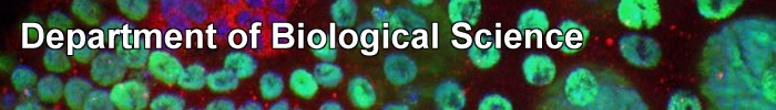 Department of Biological Science