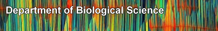Department of Biological Science