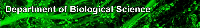 Department of Biological Science