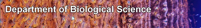 Department of Biological Science