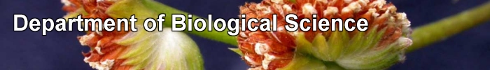 Department of Biological Science