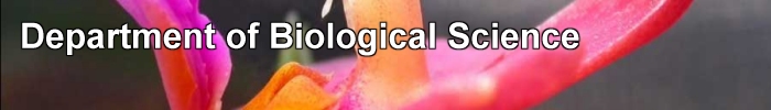 Department of Biological Science