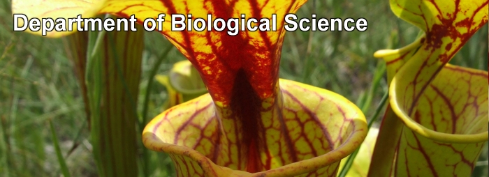 Department of Biological Science