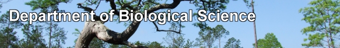 Department of Biological Science