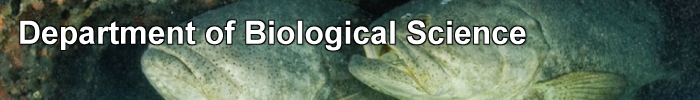 Department of Biological Science