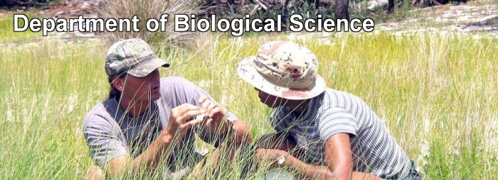 Department of Biological Science