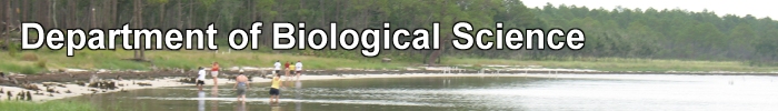 Department of Biological Science