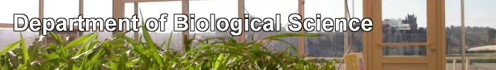 Department of Biological Science