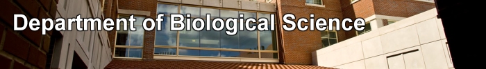 Department of Biological Science