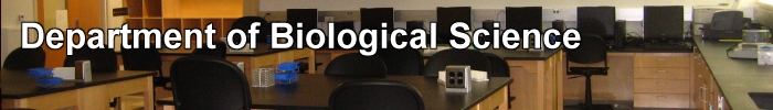 Department of Biological Science