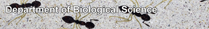 Department of Biological Science