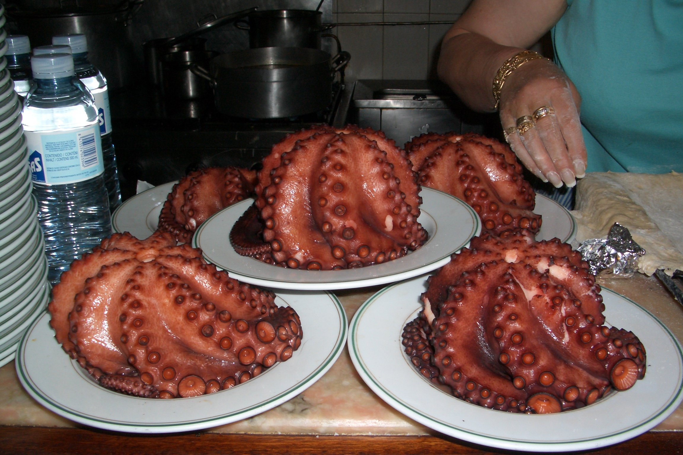Octopuseseses