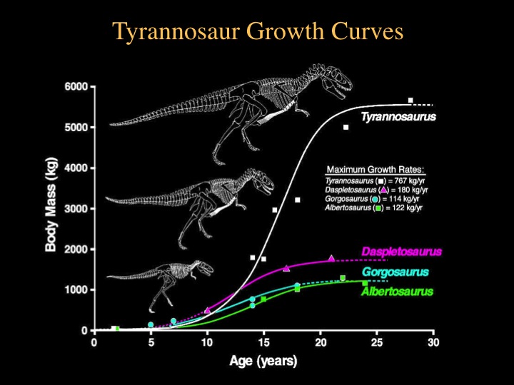 t-rex_growth.png