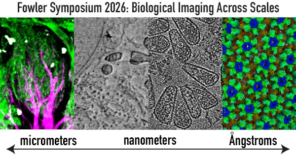 Fowler symposium 2026: Biological Imagining Across Scales, title over four microscope images with a scale factor listed below.