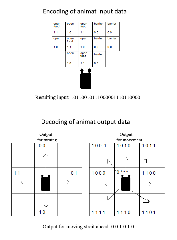 Neural Network Input Output Diagram.   Animat input is 13 cells, two bits each, one for terrain, one bit for food.