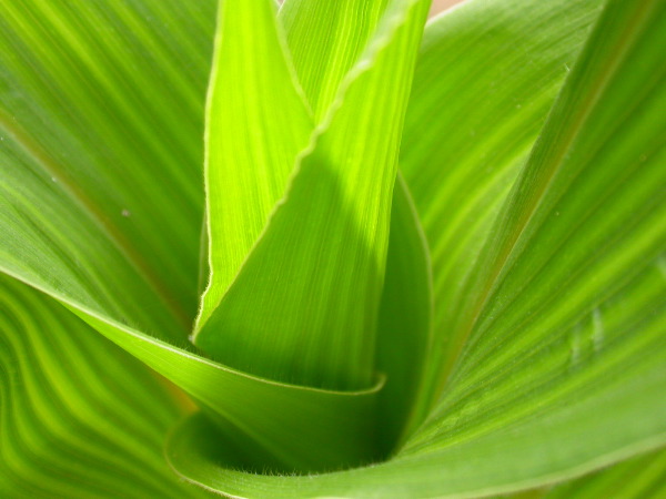 1567_bz2_gs1_bm2_126A_1503