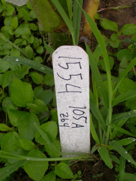 1554_zb4_P1-wr_105A_2609