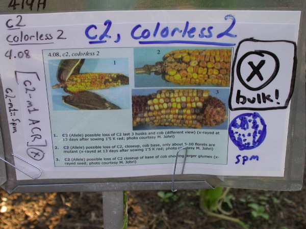 1617_c2-m1_419H_1635