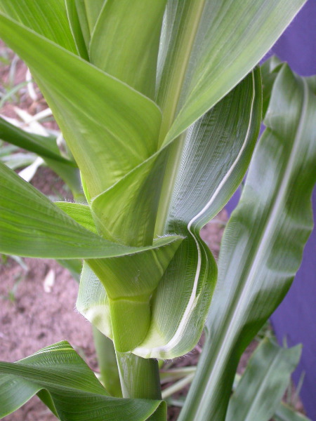 1693_bf2_sr2_X05E_2258