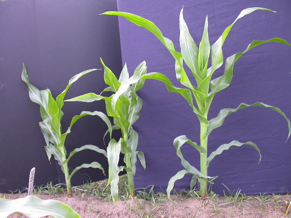 1696_r1_sn1_X05J_2275