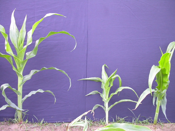 1696_r1_sn1_X05J_2281