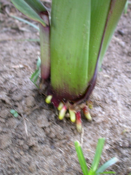 1697_r1_sn1_X05K_2297