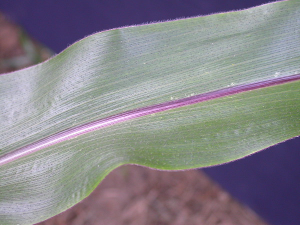 1697_r1_sn1_X05K_2301