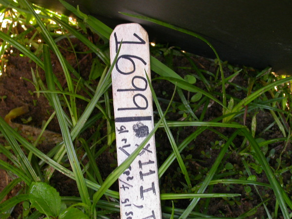 1699_Tp2_g1_sr2_X11I_884