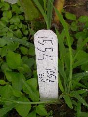 1554_zb4_P1-wr_105A_2609