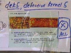 1607_dek5-25_333A_1588