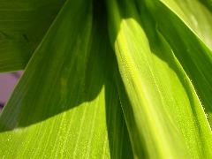 1607_dek5-25_333A_1593