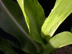 1689_c1-m5_928G_2212