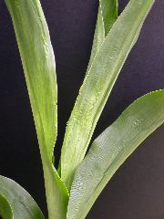 1689_c1-m5_928G_2213