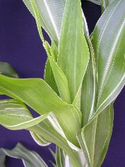 1693_bf2_sr2_X05E_2257