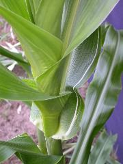 1693_bf2_sr2_X05E_2258