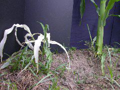 1693_bf2_sr2_X05E_2261?