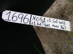 1696_r1_sn1_X05J_2274