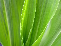 1696_r1_sn1_X05J_2282