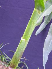 1696_r1_sn1_X05J_2283