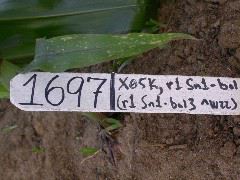 1697_r1_sn1_X05K_2286