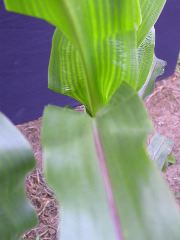 1697_r1_sn1_X05K_2298