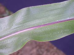 1697_r1_sn1_X05K_2301