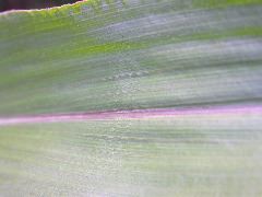 1697_r1_sn1_X05K_2302