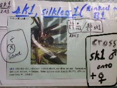 1577_B1_sk1_214J_1481