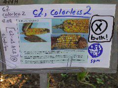 1617_c2-m1_419H_1635