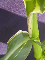 1670_j1_810B_4119